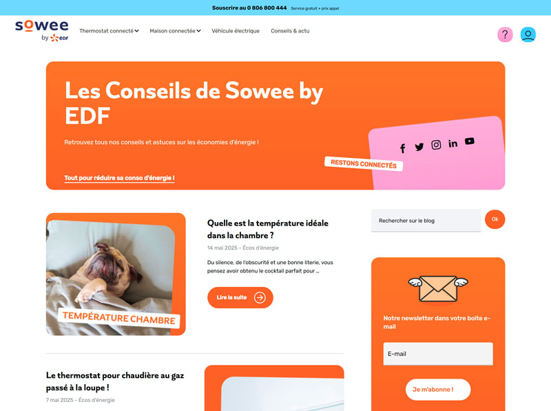 Section blog de Sowee